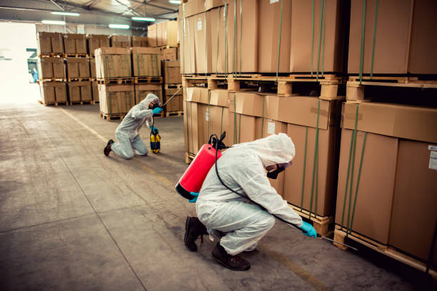 Best Emergency Pest Control  in Lackland Af, TX