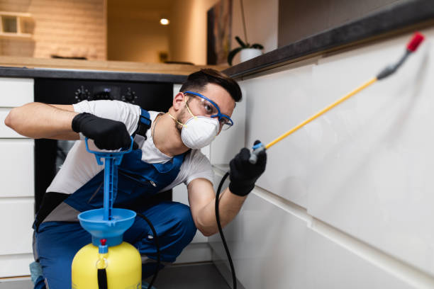 Best Exterminator Services  in Lackland Af, TX