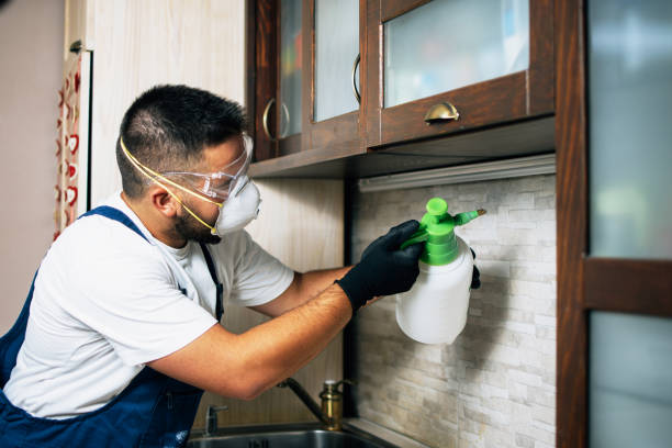 Professional Pest Control in Lackland Af, TX