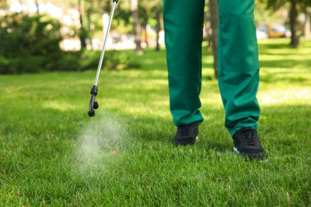 Reliable Lackland Af, TX Pest Control Solutions